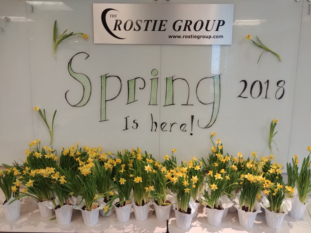 Rostie Group Spring Image